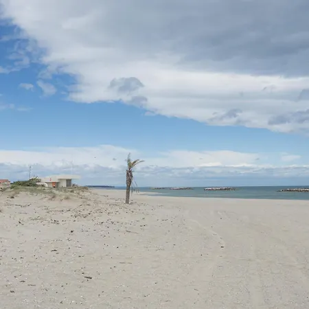 La Perle Marine - Vue - Acces Direct - Place De Parking - Climatisation - Wifi *